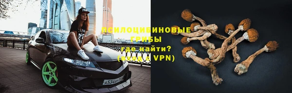 гашик Белоозёрский