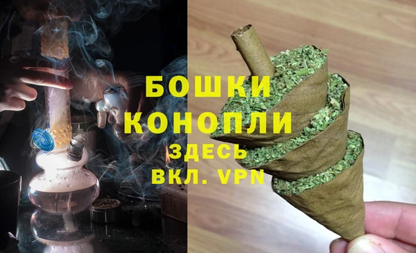 гашик Белоозёрский