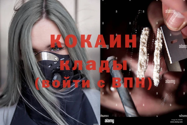 гашик Белоозёрский