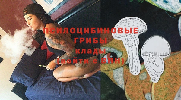 мет Белокуриха