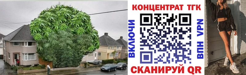 ТГК концентрат Кохма