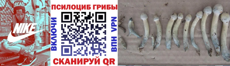 Псилоцибиновые грибы Magic Shrooms Кохма